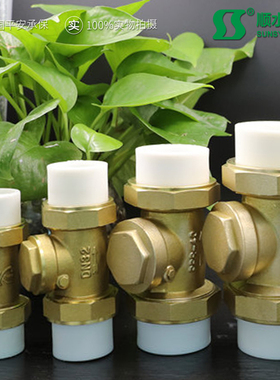 热熔活接卧式PPR黄铜止回阀返止水逆流自来水管4分6分1寸工厂直销