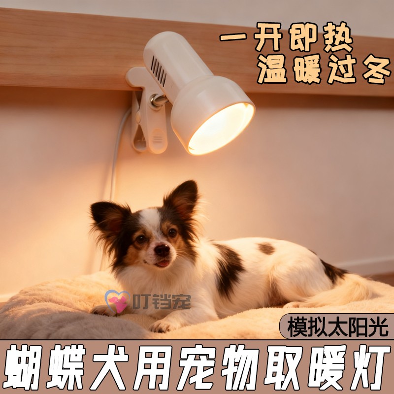 蝴蝶犬专用狗狗过冬神器宠物恒温加热器取暖灯保温灯保暖灯恒温器