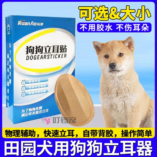 田园犬专用狗狗立耳神器小狗耳朵立耳器立耳贴幼犬竖耳辅助器夹子
