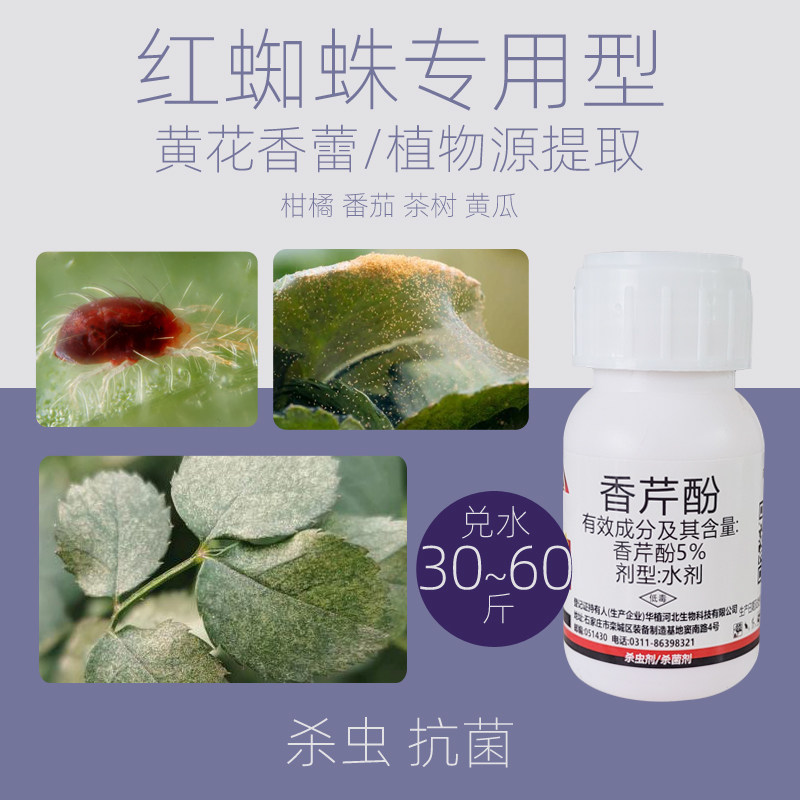 红蜘蛛专用药柑橘绿植番茄茶树黄瓜月季果蔬植物精油香芹酚杀虫剂