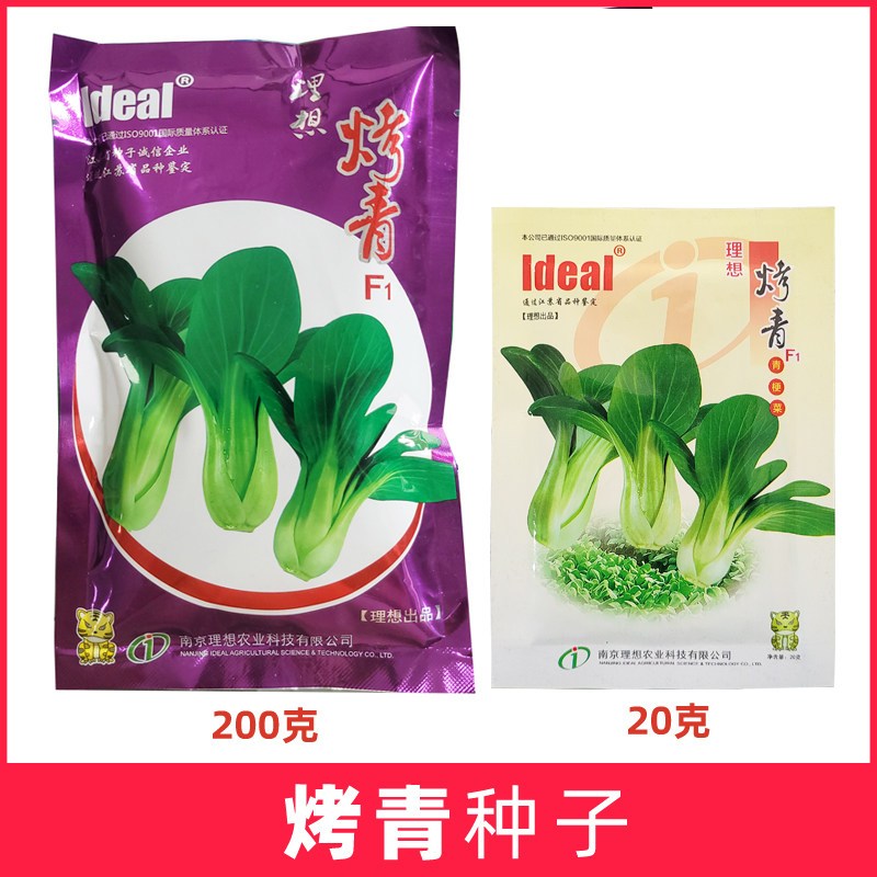 理想烤青种籽农家四季小青菜小白菜籽春季菜种子上海青苏州青种子