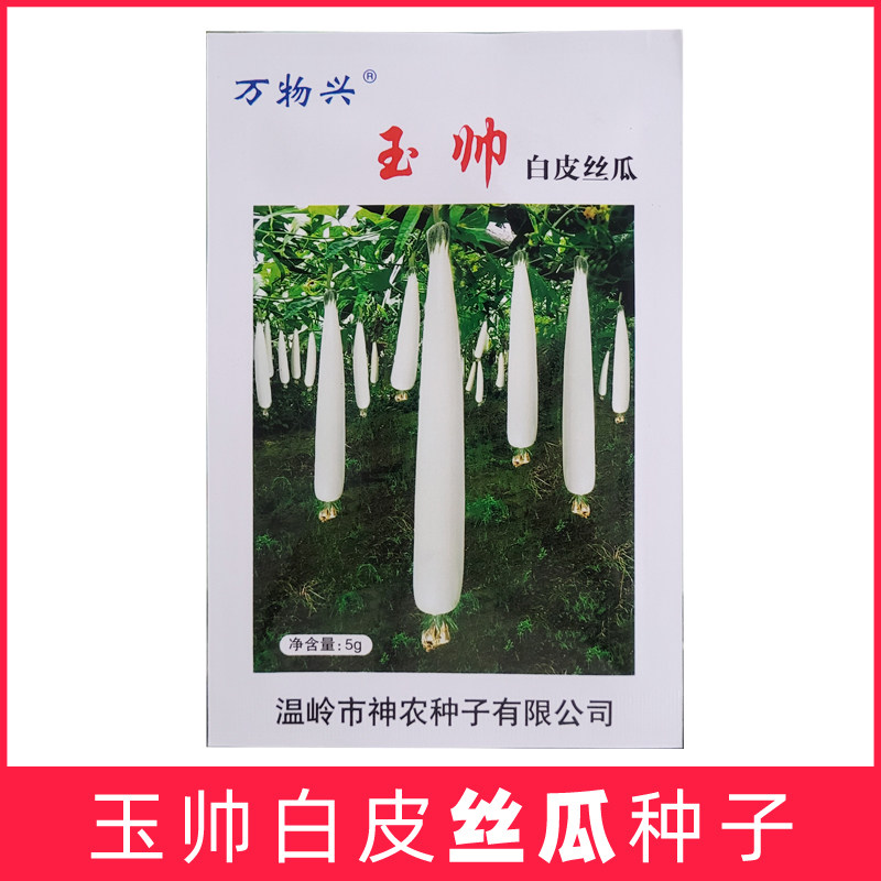 万物兴玉帅白皮丝瓜种子早熟高产农家盆栽蔬菜种籽义乌浙江白玉露