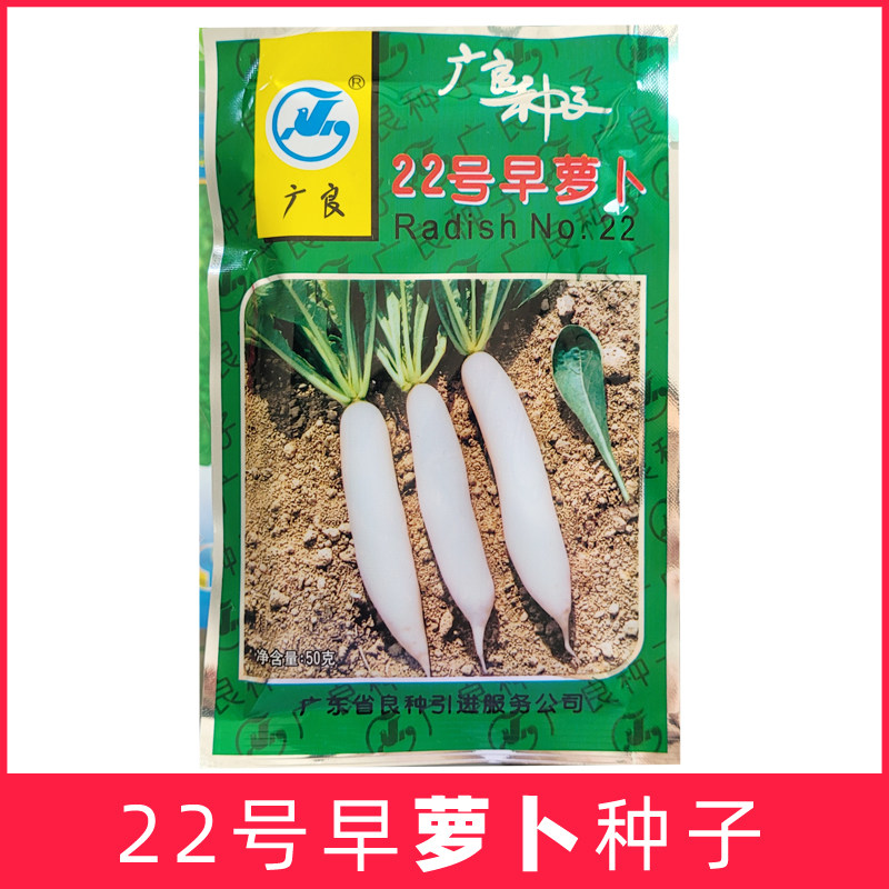 广良22号早白萝卜早熟耐热抗热种子菜头夏秋季大田种籽高产甜脆