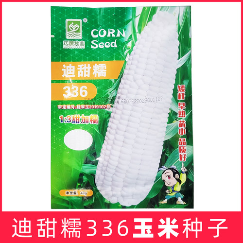 沃蔬迪甜糯336玉米种子鲜食鲜甜糯白玉米种籽大全高产春夏秋浙江