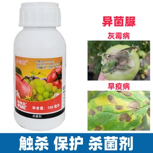 扑海因富美实异茵脲番茄苹果树早疫病灰霉斑点落叶杀菌剂农药大全