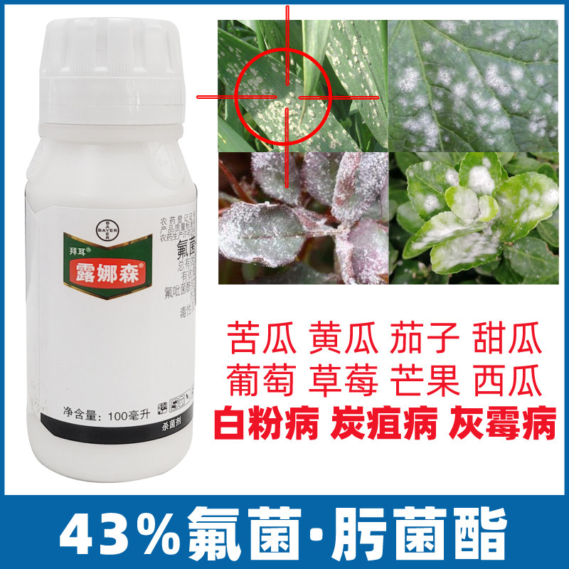 西瓜黄瓜荔枝芒果番茄炭疽病灰霉