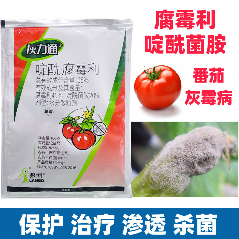腐霉利啶酰菌胺番茄西红柿灰霉病专用药杀菌剂农药大全正品蔬菜