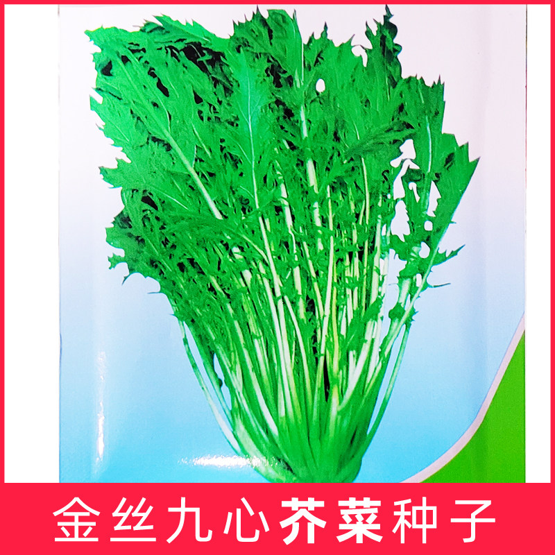 金丝九心芥菜种子细叶九头雪里蕻腌菜酸菜盐咸菜梅干菜噶嘎菜蔬菜