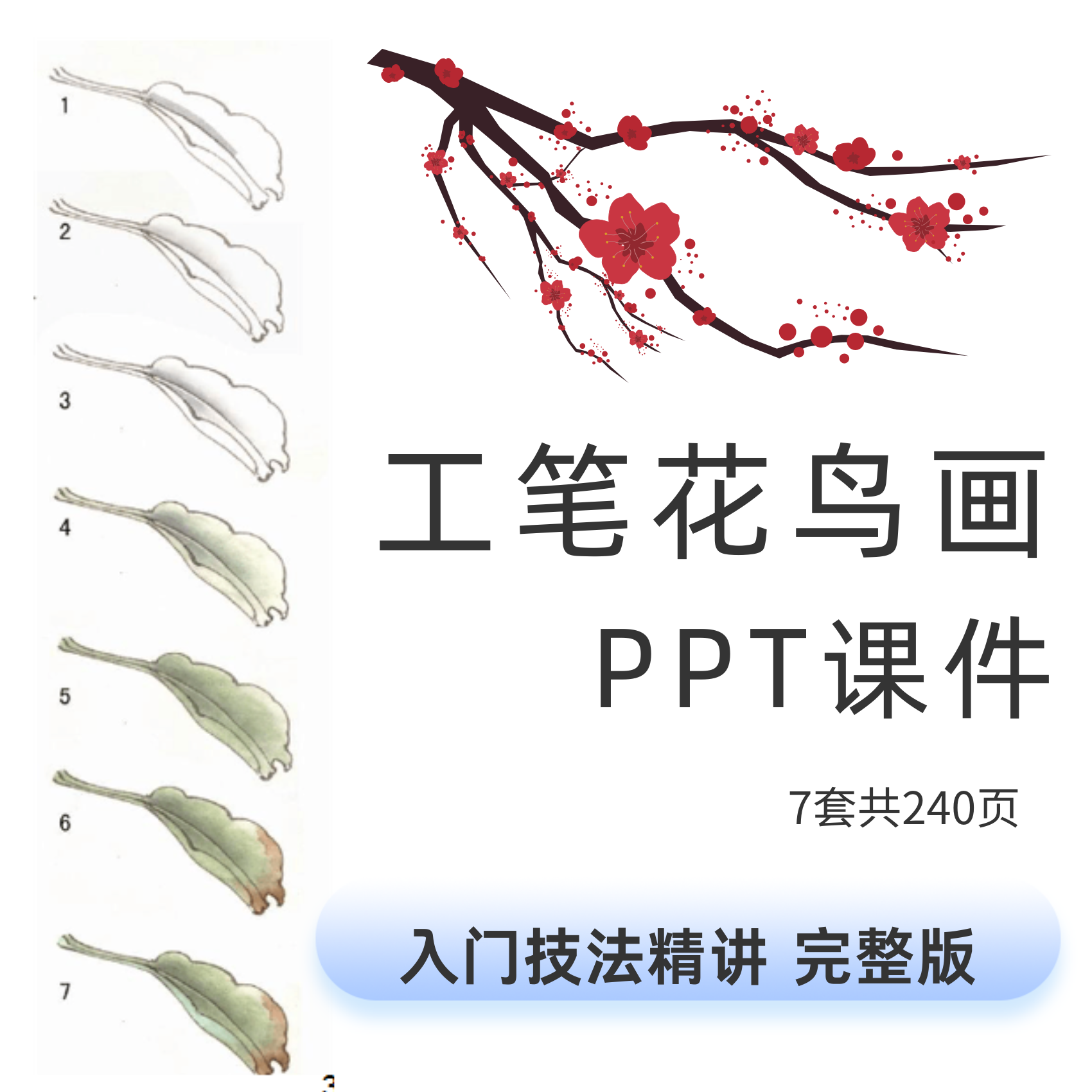 工笔花鸟画PPT课件国画白描染色运笔临摹入门技巧培训教学程成品