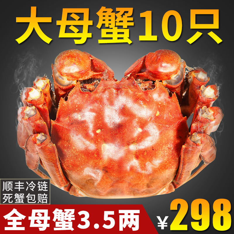 現貨陽澄湖大閘蟹鮮活 特大全母3.5兩10只禮盒裝六月黃螃蟹包郵