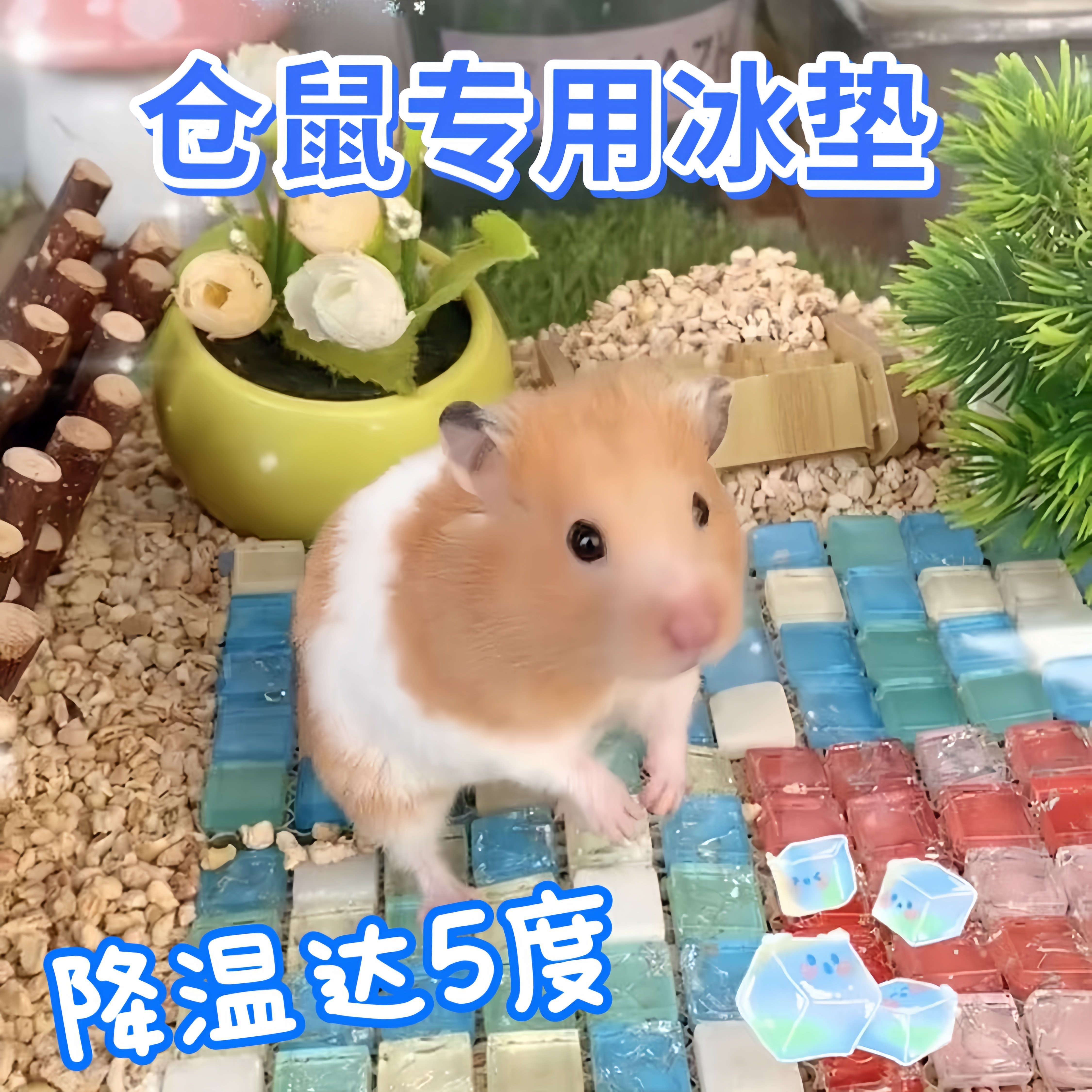 仓鼠冰垫夏天降温神器凉垫金丝熊夏季冰窝凉板席造景用品解闷玩具