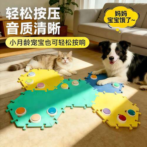 宠物互动猫咪狗狗训练语音玩具