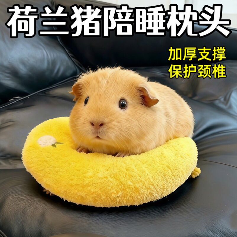荷兰猪枕头豚鼠睡垫解闷玩具龙猫专用玩偶趴趴垫迷你睡觉护颈枕头