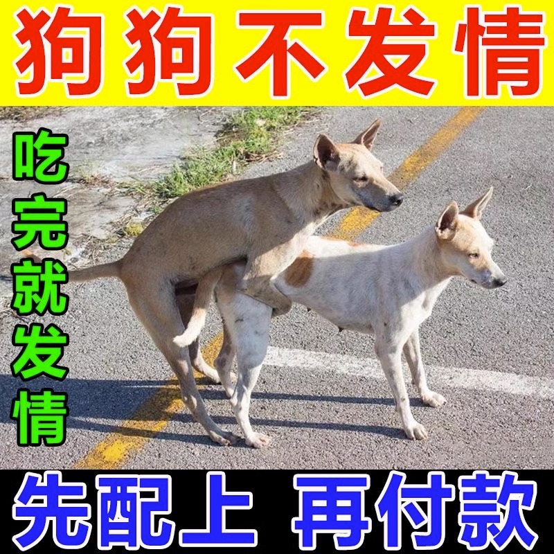 宠物禁情粉长效避孕神器药抑制公狗母狗防发情专用喷雾狗狗禁情粉