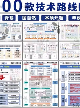 技术路线图本硕开题课题青基医学生物项目申请word可编辑PPT模板