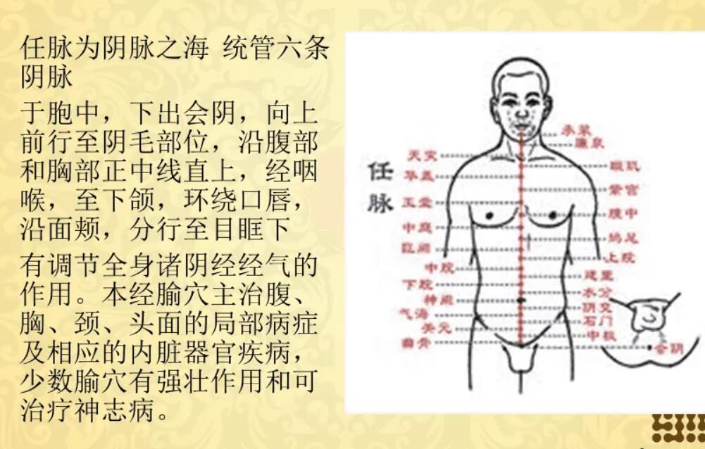 中医视频真气运行法打通任督二脉教学课程全集教音乐程自学入门