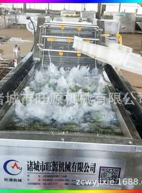 厂家洗供ZIX货 气泡清洗机 净气泡清洗去杂机 菜加工清线 旺材源