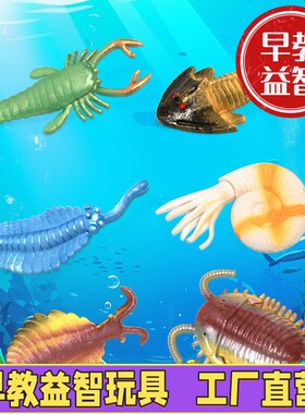 泡水膨胀变大海洋远古动物模型EVA吸水膨胀儿童益智玩具C-39