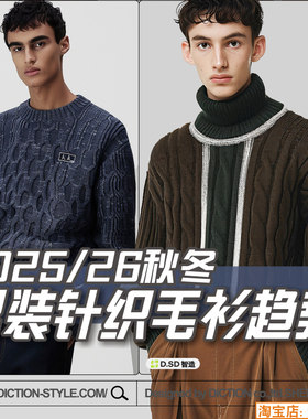 C341男装2025针织毛衫毛衣 款式细节色彩 服装设计参考图片素材