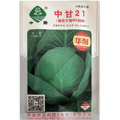 中甘21甘蓝种子早熟耐抽苔