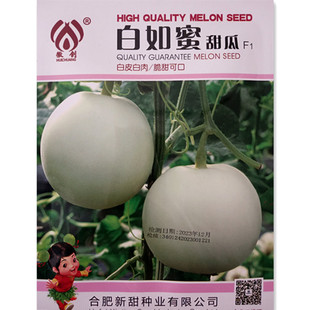 白如蜜甜瓜种子春秋大田蔬菜水果种孑羊角蜜绿宝冰翡翠甜瓜种籽苗