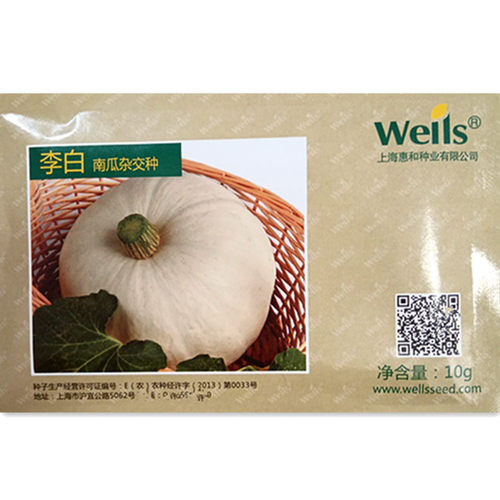 惠和李白南瓜种子春秋四季