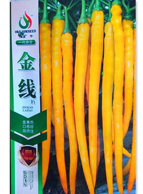 金线椒种子 高产辣味浓挂果力强黄色辣椒种籽春秋蔬菜种孑辣椒苗