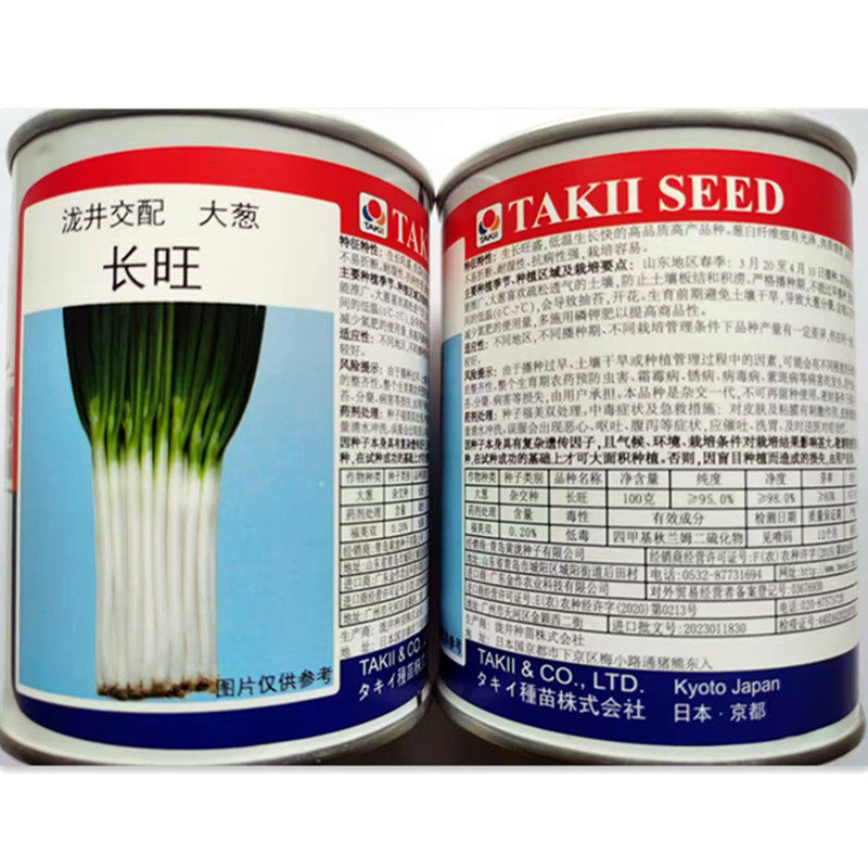 进口泷井长旺大葱种子春秋大田蔬菜种孑苗秧小香葱钢葱叶菜青菜苗