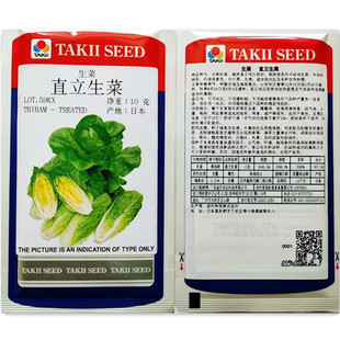 进口泷井生菜种籽直立生菜沙拉包肉观赏生吃四季盆栽蔬莱种子孑苗