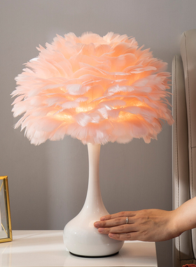 羽毛台灯卧室床头灯北欧ins少女网红灯床头柜摆件温馨浪漫装饰diy