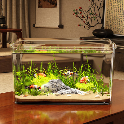 2025新款小金鱼乌龟饲养生态鱼缸