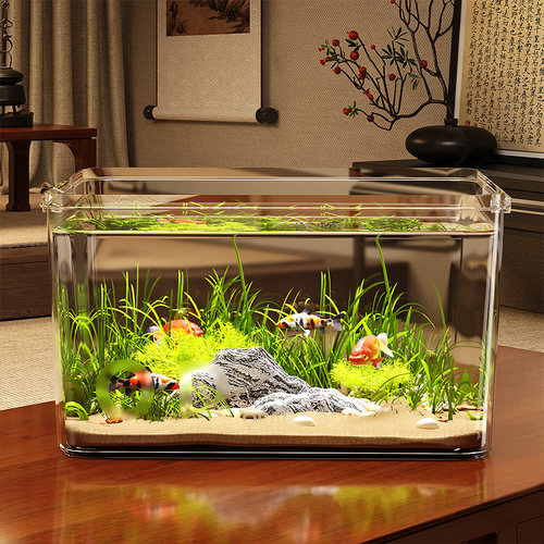 2025新款小金鱼乌龟饲养生态鱼缸