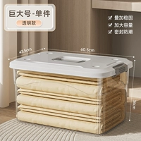 [Та же самая модель основной картины] 181#Огромные прозрачные ремешки