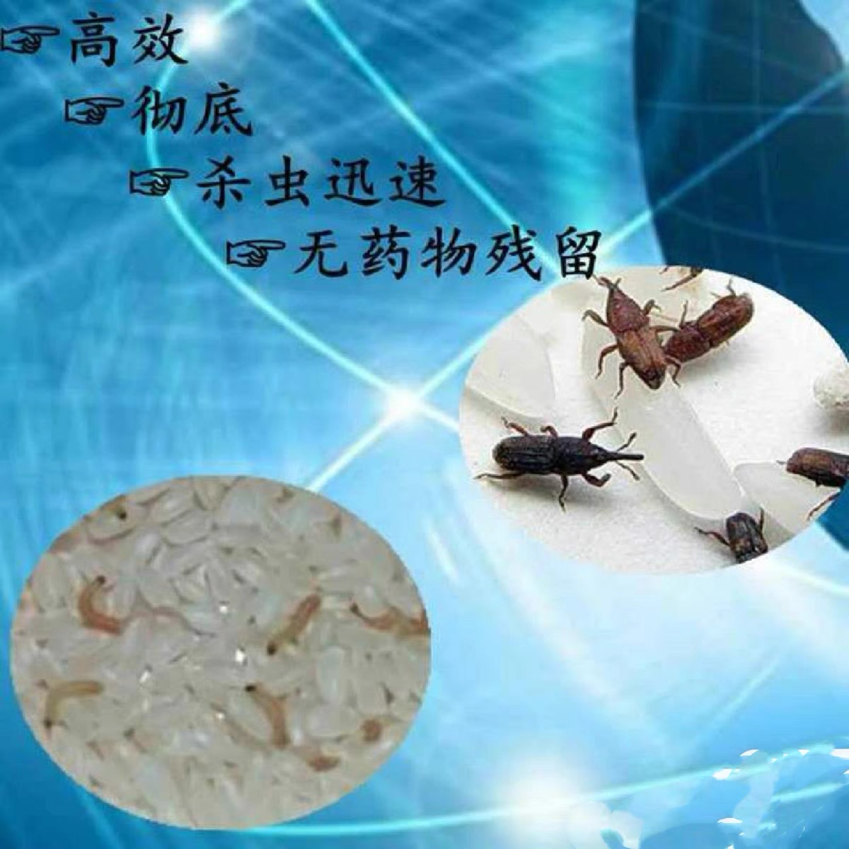 粮食种子货物防虫可用于防治室外啮齿动物仓储害虫储粮害虫等等