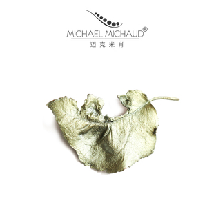 Michael Michaud苹果叶胸花女胸针配饰气质别针送女友礼物