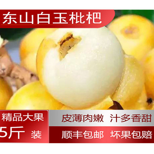 正宗洞庭白玉枇杷苏州东山白玉枇杷大果现摘新鲜水果顺丰5斤礼盒