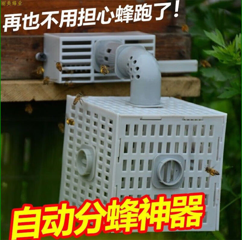 中蜂自动分蜂器防逃器无人值守蜜蜂收蜂神器多功能关蜂王囚王笼框