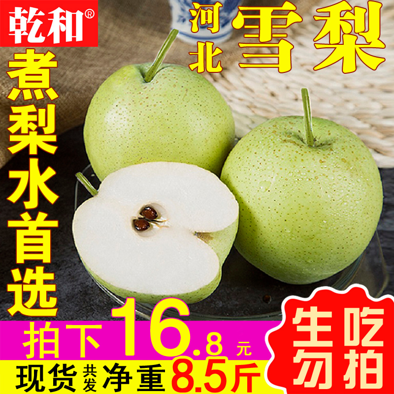 乾和河北雪梨雪花梨10斤新鲜水果批发整箱梨子当季皇冠梨砀山包邮