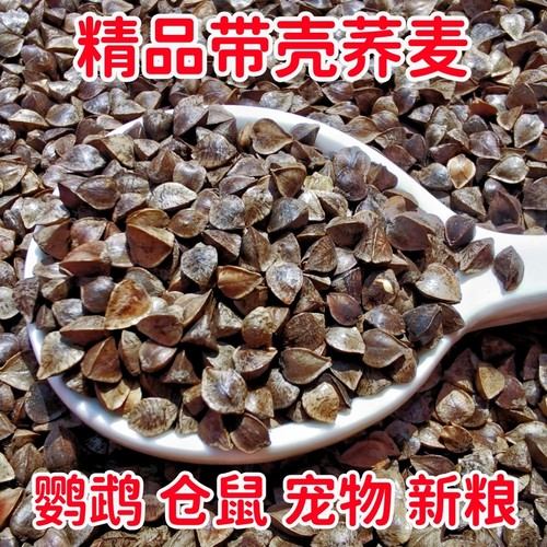新带壳荞麦鸟粮精品荞麦真空包装