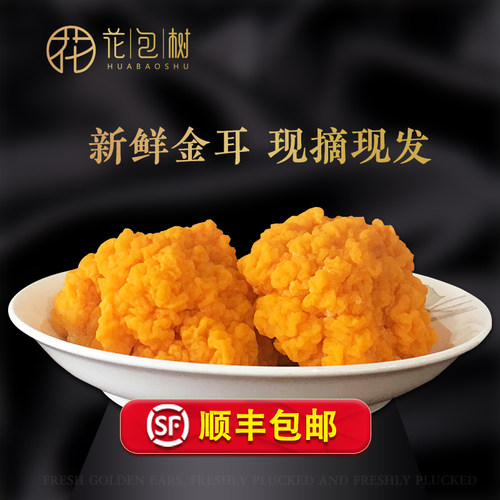 新鲜金耳菌云南特产黄金脑耳顺丰