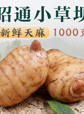 【顺丰直发】云南昭通新鲜天麻小草坝产地现挖生乌天麻官方旗舰店