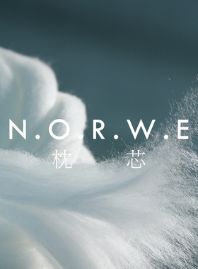 靠枕芯pp棉支撑可拆洗抱枕芯靠垫腰枕精梳磨毛面料简约纯色白色