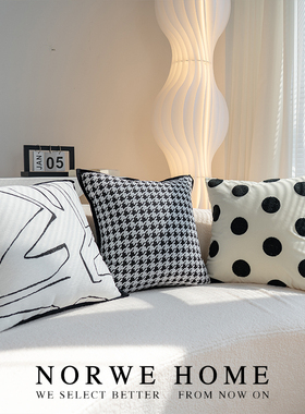 NORWE抱枕现代简约千鸟格波点枕套高级感黑白客厅沙发靠枕靠垫背