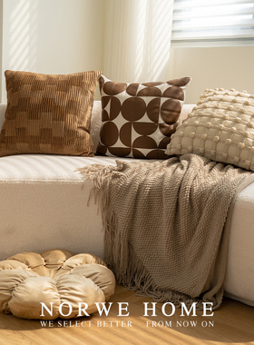 法式抱枕侘寂风高级靠枕现代简约客厅norwe棕色组合床头沙发意式