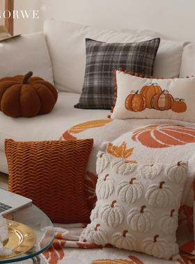 南瓜抱枕毛绒摆件圣诞节创意主题家居客厅沙发卧室儿童房靠枕ins