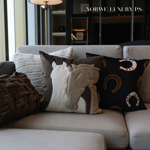 意式轻奢抱枕客厅靠垫高级沙发马年简约搭配设计师黑色极风格