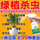 花卉杀虫剂室内盆栽绿植专用正品 无毒不伤花室内蔬菜多肉通用
