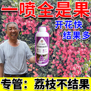 荔枝保花保果药控梢促花催花座果灵果树花芽分化杀梢素专用药肥料