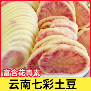云南七彩土豆花心五花洋芋产地直发高山耗子洋芋马铃薯农家3斤9斤