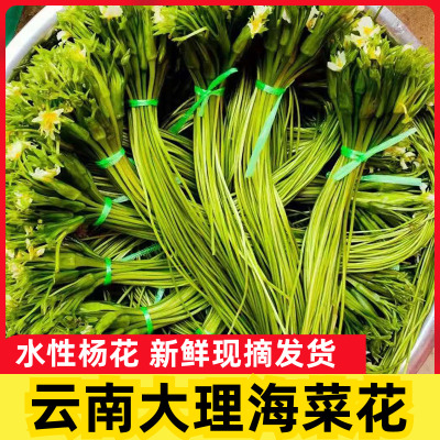 云南大理水性杨花新鲜蔬菜